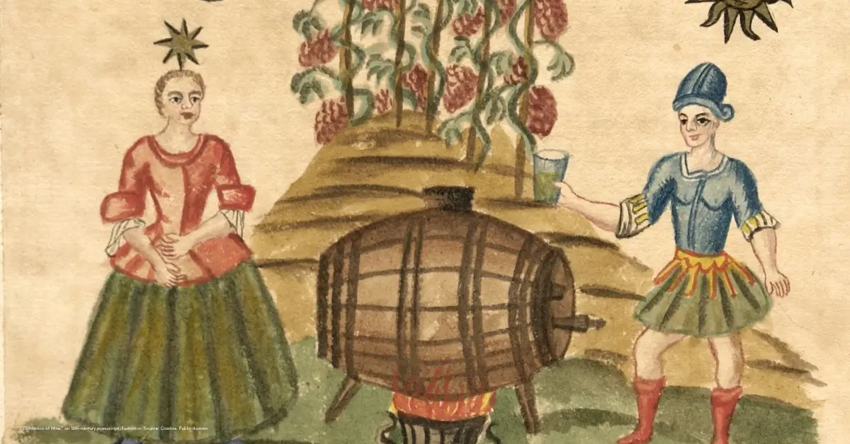 Reading a Wine Label Like a Collector