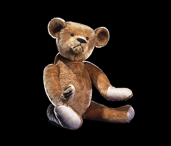 Teddy Bear