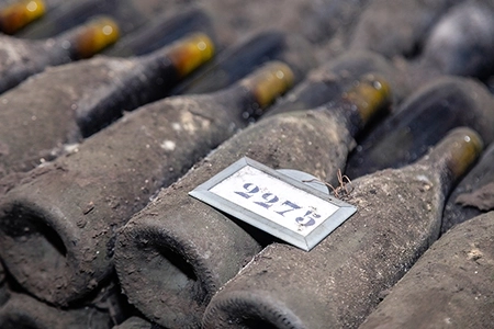 Ancient dark dusty wine bottles aging in underground cellar in rows.